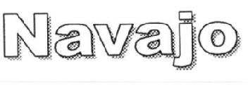 Imagen de NAVAJO