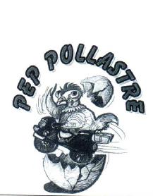 Imagen de PEP POLLASTRE