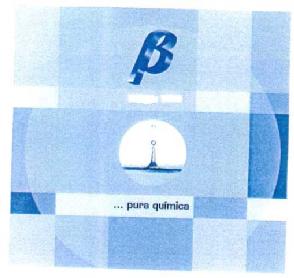 Imagen de B PURA QUIMICA