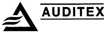 Imagen de AUDITEX