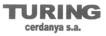 Imagen de TURING CERDANYA S.A