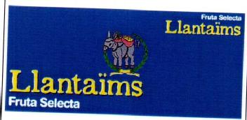 Imagen de LLANTAIMS FRUTA SELECTA