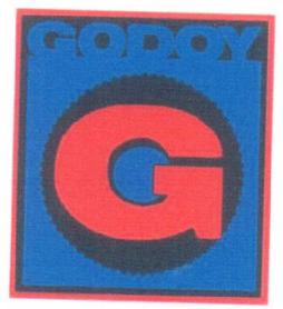 Imagen de GODOY G