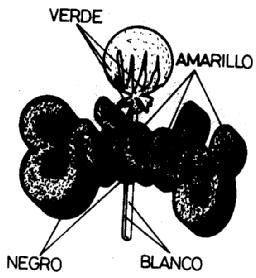 Imagen de ENREDOS