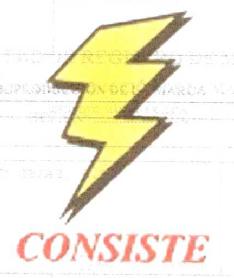 Imagen de CONSISTE