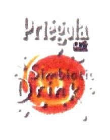 Imagen de PRIEGOLA SIMBIOTIC DRINK
