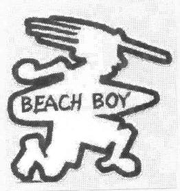 Imagen de BEACH BOY