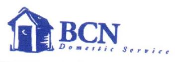 Imagen de BCN DOMESTIC SERVICE