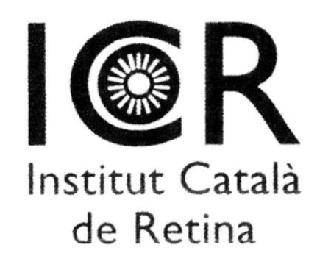 Imagen de ICR INSTITUT CATALA DE RETINA