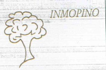 Imagen de INMOPINO