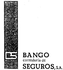 Imagen de BS BANGO CORREDURIA DE SEGUROS, S.A