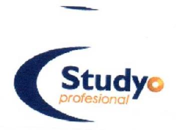 Imagen de STUDYO PROFESIONAL