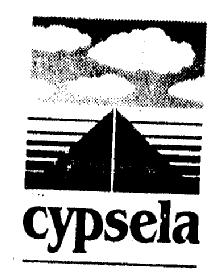 Imagen de CYPSELA