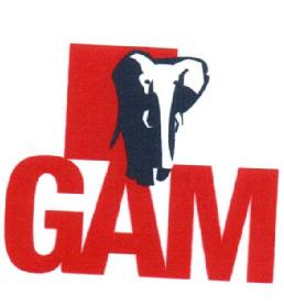 Imagen de GAM