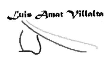 Imagen de LUIS AMAT VILLALTA