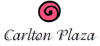 Imagen de CARLTON PLAZA