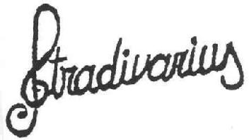 Imagen de STRADIVARIUS