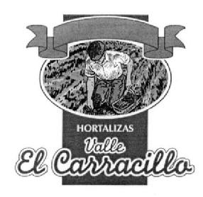 Imagen de HORTALIZAS VALLE EL CARRACILLO