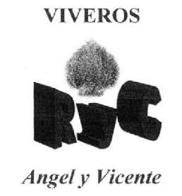 Imagen de VIVEROS R Y C ANGEL Y VICENTE