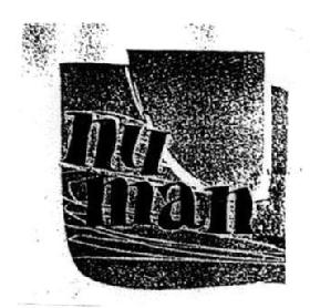 Imagen de NU MAN