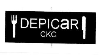 Imagen de DEPICAR CKC