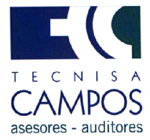 Imagen de TECNISA CAMPOS ASESORES - AUDITORES