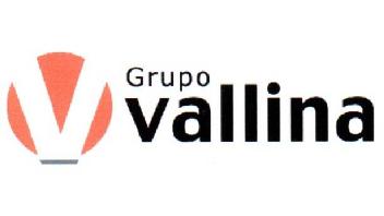 Imagen de V GRUPO VALLINA