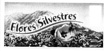 Imagen de FLORES SILVESTRES