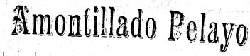 Imagen de AMONTILLADO PELAYO