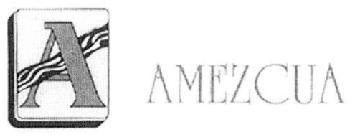 Imagen de A AMEZCUA