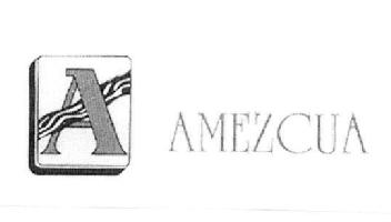 Imagen de A AMEZCUA