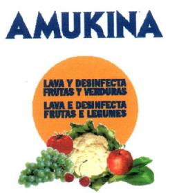 Imagen de AMUKINA LAVA Y DESINFECTA FRUTAS Y VERDURAS LAVA E DESINFECTA FRUTAS E LEGUMES
