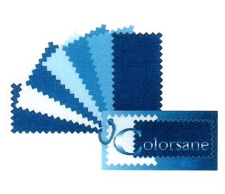Imagen de COLORSANE