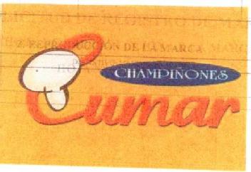 Imagen de CHAMPIÑONES CUMAR