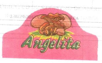 Imagen de ANGELITA