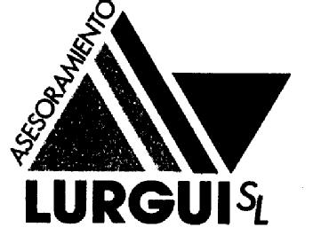 Imagen de ASESORAMIENTO LURGUI SL