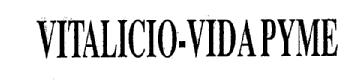 Imagen de VITALICIO-VIDA PYME SEGURO COLECTIVO DE VIDA TEMPORAL RENOVABLE