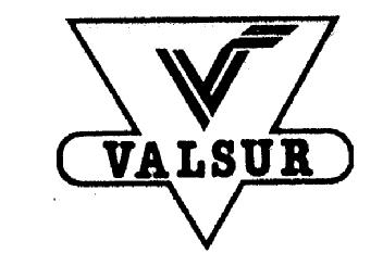 Imagen de V VALSUR