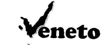 Imagen de VENETO