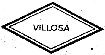 Imagen de VILLOSA