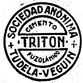 Imagen de CEMENTO TRITON PUZOLAMICO SOCIEDAD ANONIMA