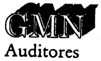 Imagen de GMN AUDITORES