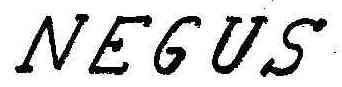 Imagen de NEGUS