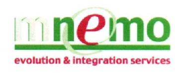 Imagen de MNEMO EVOLUTION & INTEGRATION SERVICES