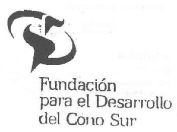 Imagen de FUNDACION PARA EL DESARROLLO DEL CONO SUR