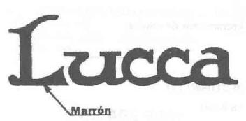 Imagen de LUCCA