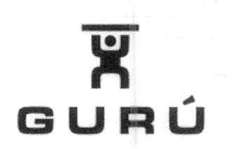 Imagen de GURU
