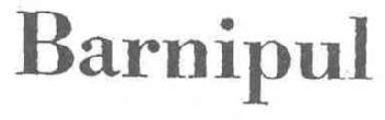 Imagen de BARNIPUL