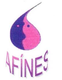 Imagen de AFINES