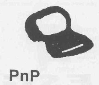 Imagen de PNP